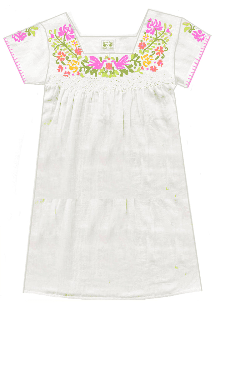 Mini Maya Dress-multi embroidery