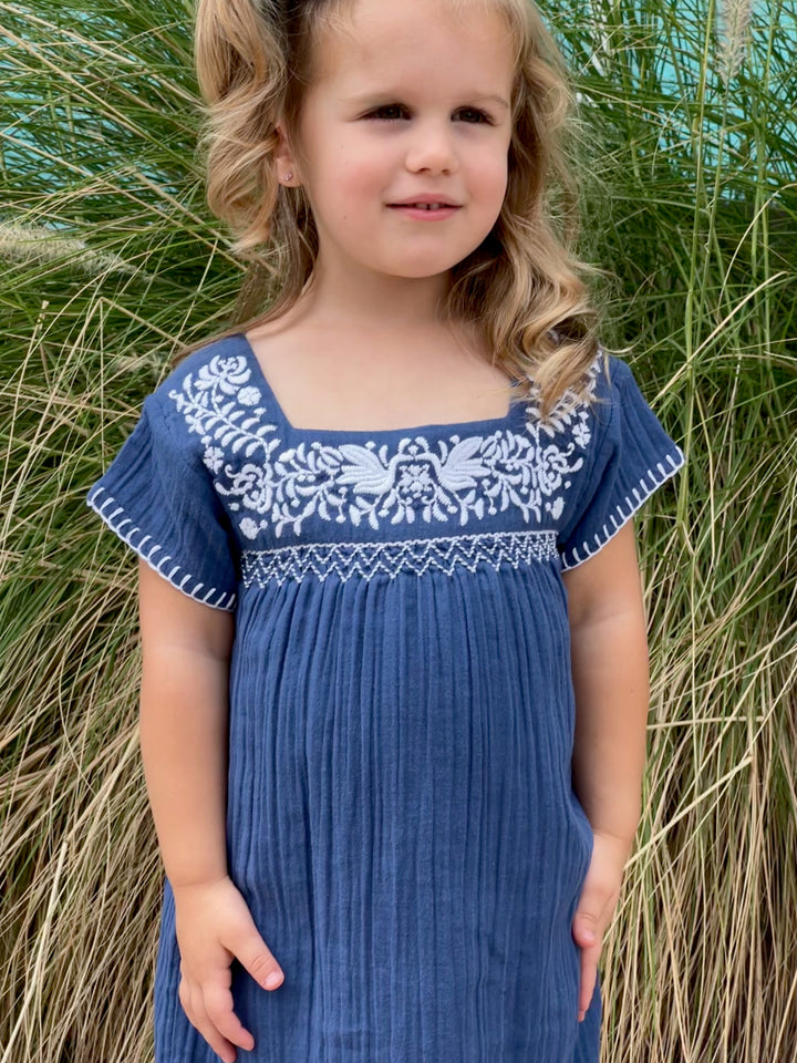 Mini Maya Dress | Hand-Smocked Bistro Bird Embroidery for Girls